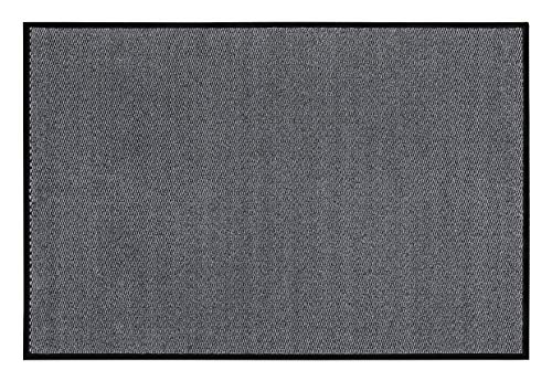 andiamo Fußmatte Easy - Schmutzfangmatte für den Hauseingang - flexibel einsetzbar als Türmatte innen, Fußabtreter im überdachten Außenbereich oder als Schuhmatte 120 x 180 cm Hellgrau von andiamo