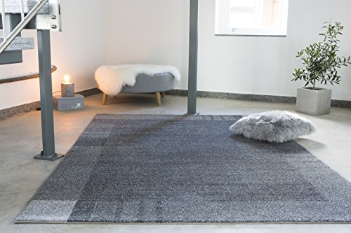 andiamo Webteppich moderner stilvoller Kurzflor Teppich robust und pflegeleicht aus 100% Polypropylen geeignet für Fußbodenheizung und Saugroboter 80 x 150 cm Bordüre Grau von andiamo