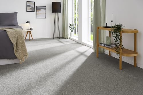 andiamo Teppichboden Izmir für Wohnzimmer und Kinderzimmer - Teppichboden Meterware zum Verlegen - Teppichbelag mit hoher Trittschalldämmung - weicher Teppichboden 400 x 350 cm Grau andiamo Teppichboden Izmir für Wohnzimmer und Kinderzimmer - Teppichboden Meterware zum Verlegen - Teppichbelag mit hoher Trittschalldämmung - weicher Teppichboden 400 x 350 cm Grau von andiamo