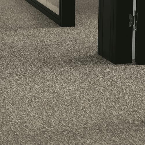 andiamo Teppichboden Meterware Joe - Auslegware Bodenbelag zuschneidbar und einfach zu verlegen - Teppichbelag aus Polypropylen 6mm Gesamthöhe Anthrazit 400 x 350 cm andiamo Teppichboden Meterware Joe - Auslegware Bodenbelag zuschneidbar und einfach zu verlegen - Teppichbelag aus Polypropylen 6mm Gesamthöhe Anthrazit 400 x 350 cm von andiamo