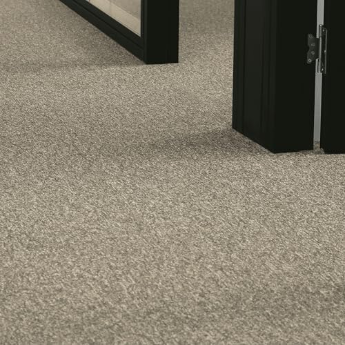 andiamo Teppichboden Meterware Joe - Auslegware Bodenbelag zuschneidbar und einfach zu verlegen - Teppichbelag aus Polypropylen 6mm Gesamthöhe Braun 400 x 700 cm von andiamo