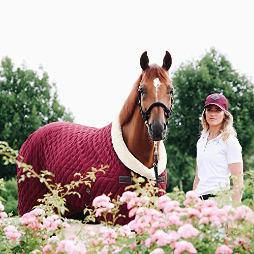 Kentucky Show Rug Bordeaux 160g 130 von Kentucky Horsewear