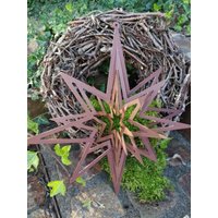 Edelrost 3D-stern Zum Aufdrehen Gartendeko Metall Rost Rostdeko Metalldeko von angelsgardendekoshop