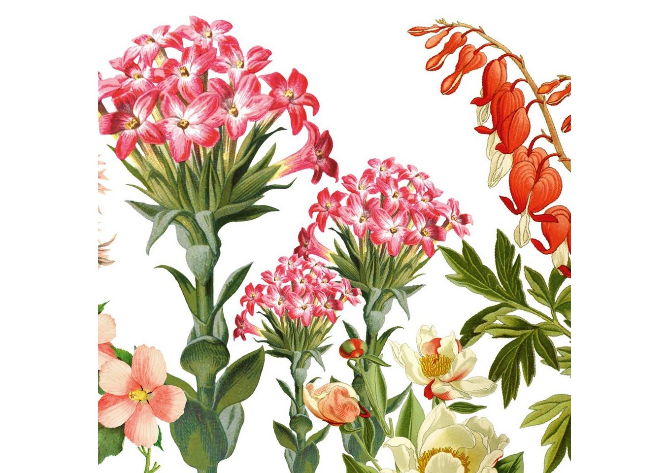 anna wand Bordüre Blumengarten rosarot/grün auf weiß - selbstklebend, botanisch, selbstklebend von anna wand