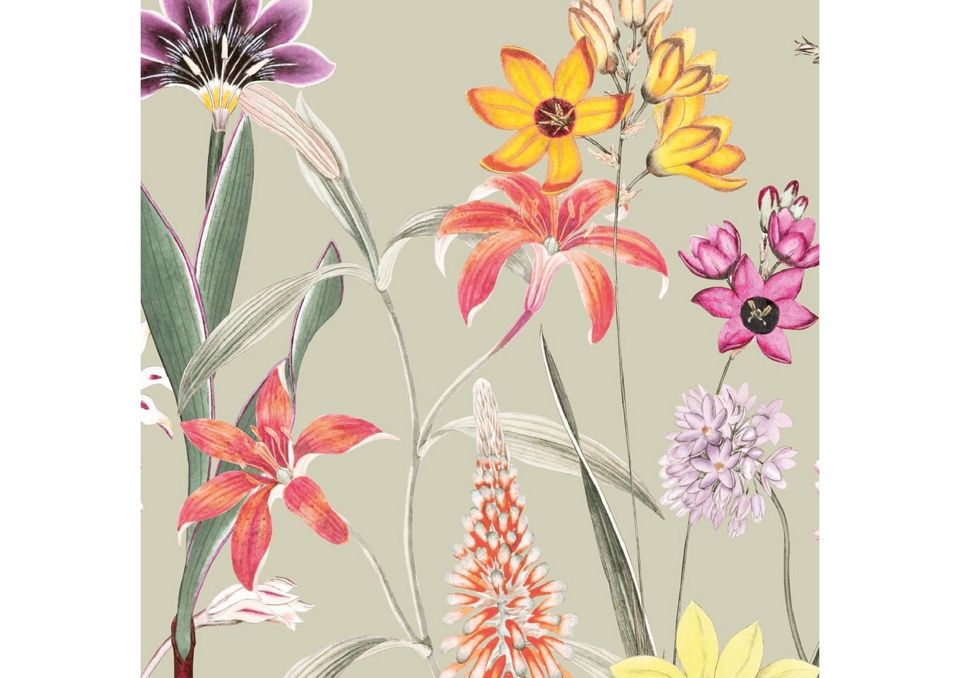anna wand Bordüre Botanical Garden / Blumen - mehrfarbig/grün-beige - selbstklebend, floral, selbstklebend von anna wand