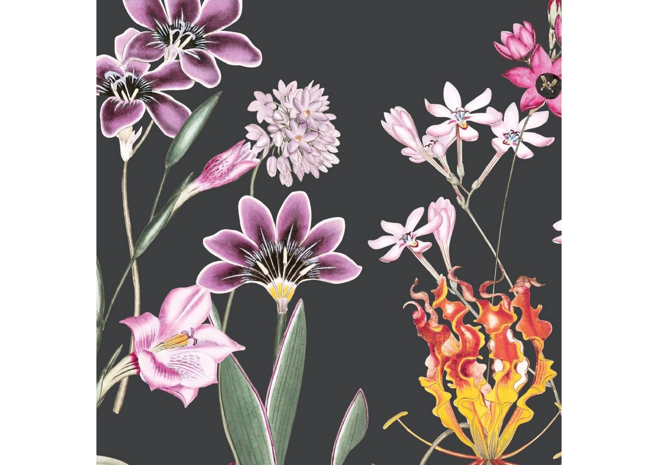 anna wand Bordüre Botanical Garden / Blumen - schwarz/mehrfarbig - selbstklebend, floral, selbstklebend von anna wand