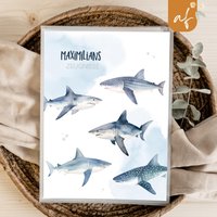 Personalisierte Zeugnismappe Hai Meer Geschenkidee Einschulung Schulkind Junge Mädchen Mappe Für Zeugnisse Sp 0162 von annaundfelix
