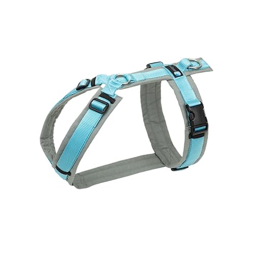 Anny-X Brustgeschirr Fun | Farbe Grau-Eisblau | Hundegeschirr in Größe L lang (Brustumfang 78-96 cm) (Grau-Eisblau, L lang) von anny-x