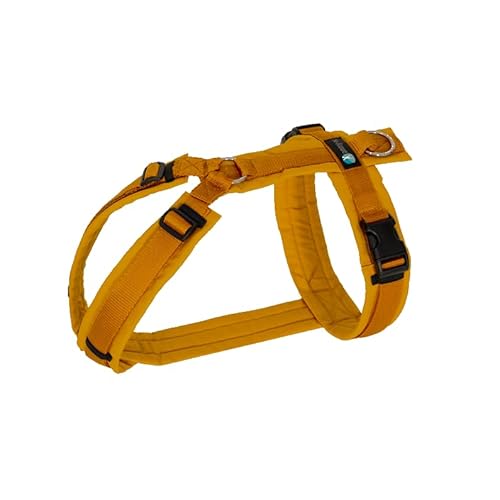 Anny·x Fun Hundegeschirr, Verstellbar, Farbe Goldglöckchen, Verschiedene Größen (Goldglöckchen, M lang) von anny-x