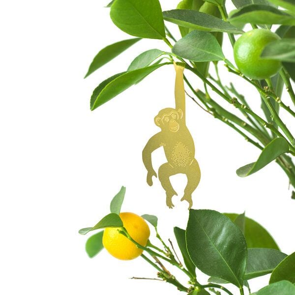 another studio Plant Animal - Design Pflanzendekoration - Figuren aus Messing von another studio