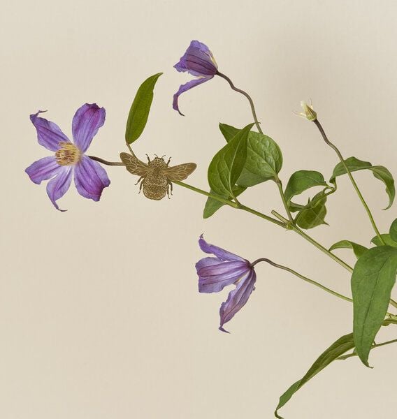 another studio Plant Animal - Design Pflanzendekoration - Figuren aus Messing von another studio