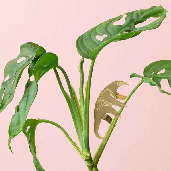 another studio Plant Animal - Design Pflanzendekoration - Figuren aus Messing von another studio