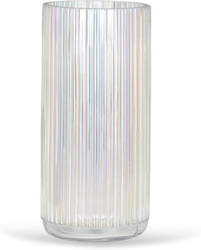 Anquephd Bunte Zylindrische Vase Modernes Design für Blumenarrangements - Glas Bodenvase - Perfekte Vertikale Dekoration - Hochwertige Blumenvase (Bunt 19.5 cm) von anquephd