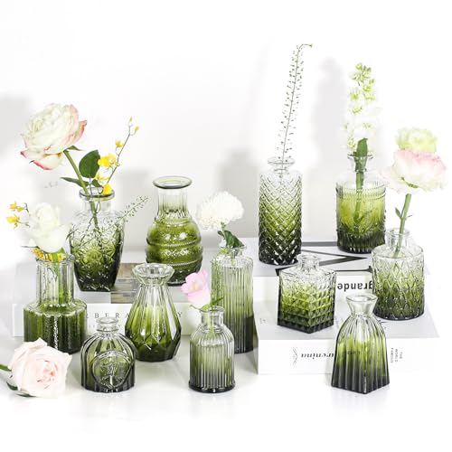Anquephd Glas Vase Set of 12, Tiefgrün Vase Anquephd Glas Vase Set of 12, Tiefgrün Vase von anquephd