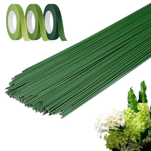 anyuan boy 150 Stück Blumendraht Grün mit 3 Rollen Floristenband 30cm Draht Grün Steckdraht Floristik für Bouquet Blumensträuße, Handwer,Partydekoration anyuan boy 150 Stück Blumendraht Grün mit 3 Rollen Floristenband 30cm Draht Grün Steckdraht Floristik für Bouquet Blumensträuße, Handwer,Partydekoration von anyuan boy