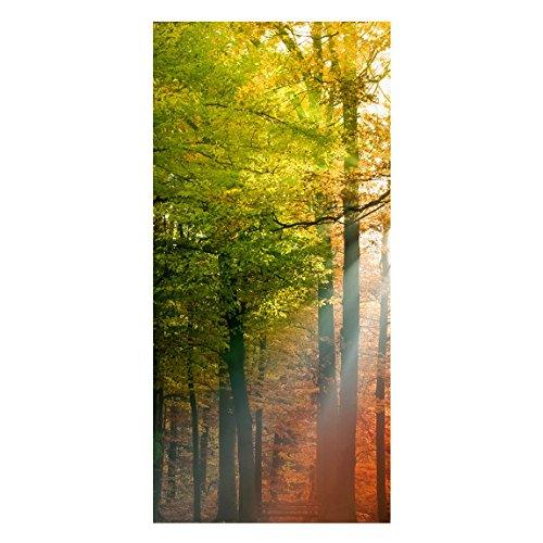 Magnettafel Morning Light Memoboard Design Hoch Metall Magnet Pinnwand Motiv Wand Stahl Küche Büro, Größe HxB: 78cm x 37cm von Apalis