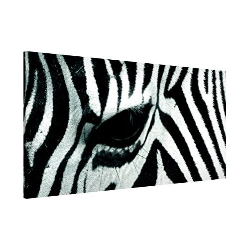 Magnettafel Zebra Crossing Memoboard Design Quer Metall Magnet Pinnwand Motiv Wand Stahl Küche Büro, Größe HxB: 37cm x 78cm von Apalis