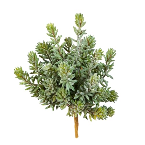 aplanta Künstliche Sedum - Helin | 20 cm von aplanta