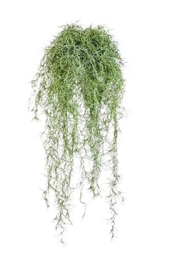aplanta Künstlicher Hängebusch- Maximilian | 80 cm von aplanta