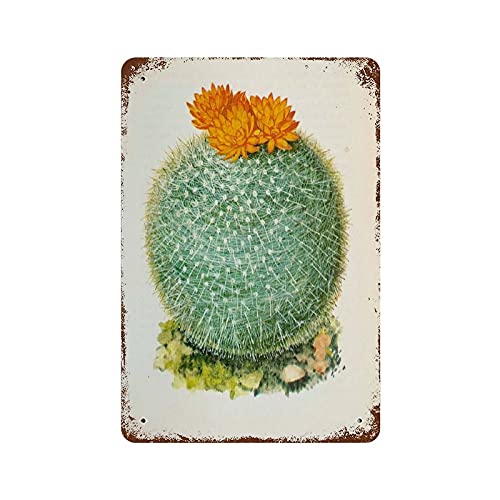 14 x 20 cm Kaktus Botanisch blühende Kakteen Geburtstag Ruhestand Geschenk Retro Metall-Blechschild Retro Wanddekoration Vintage Küche Backen Blechschild für Zuhause Wanddekoration Geschenke 14 x 20 cm Kaktus Botanisch blühende Kakteen Geburtstag Ruhestand Geschenk Retro Metall-Blechschild Retro Wanddekoration Vintage Küche Backen Blechschild für Zuhause Wanddekoration Geschenke von apular