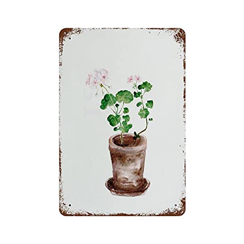 Antikes Blechschild, Geranie, Blumentopf, Metall-Blechschild, Wandkunst, Aquarell, Dekor, Metall-Blechschild, Blumen-Bauernhaus, Botanische Kräuter, moderner Garten, 14 x 20 cm. Antikes Blechschild, Geranie, Blumentopf, Metall-Blechschild, Wandkunst, Aquarell, Dekor, Metall-Blechschild, Blumen-Bauernhaus, Botanische Kräuter, moderner Garten, 14 x 20 cm. von apular