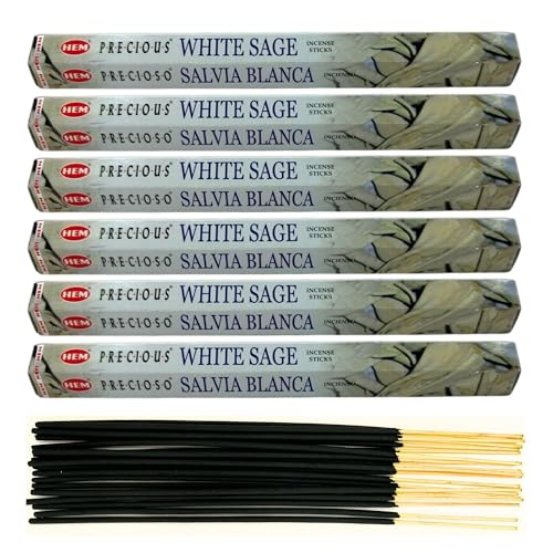 6X Räucherstäbchen Hem Verschiedene Düfte | Insgesamt 120 Sticks (Precious White Sage) von aqasha