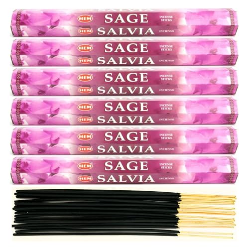 6X Räucherstäbchen Hem Verschiedene Düfte | Insgesamt 120 Sticks (Salbei) von aqasha