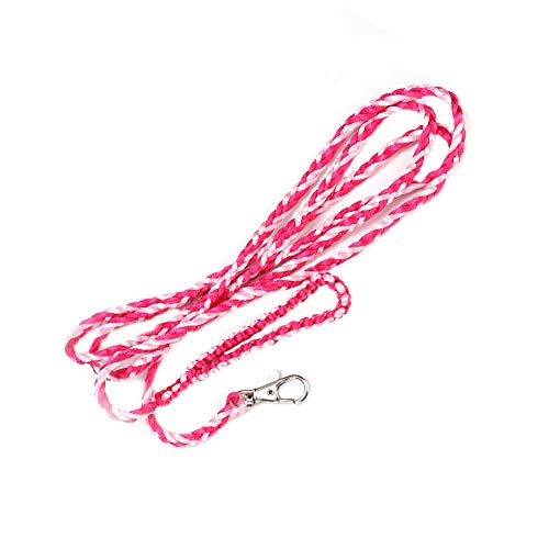 Kleiner Haustier Hamster Guinea Outdoor Lash Walking -Kabelbaum 4. An. Spaß. Die. Hamster. Und. hinzufügen. unter. Ganz .. Kontrolle. Design. Und. Es. Freiheit. (Rosa + Rosenrot) von aqxreight