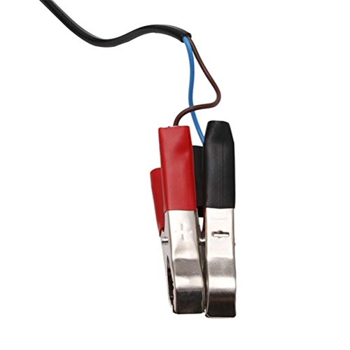 aqxreight 24 V DC Elektrische Tauchpumpe für eine Effiziente Übertragung und Kraftstoffübertragung (Wie gezeigt) von aqxreight