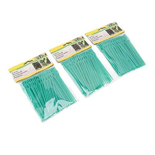 aqxreight 300pcs Green Reißverschlussgarten Weiche Krawatte 13 Cm Länge Wiederverwendbar aqxreight 300pcs Green Reißverschlussgarten Weiche Krawatte 13 Cm Länge Wiederverwendbar von aqxreight