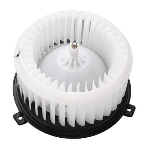 aqxreight Wechselstromheizungsgebläsemotor Effiziente Erwärmung Niedriger Rausch OE Standard 95920148 Austausch füR L4 Ersatz R AC Heizungsgebläse Motorhvac Gebläse Motorradinggebläses Motorblo von aqxreight