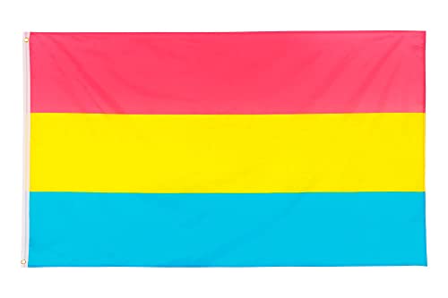 PHENO FLAGS Pan Pride Flagge - Pansexualität Flagge mit Messing-Ösen - 90 x 150 cm - Wetterfeste Fahnen für Fahnenmast - 100% Polyester von PHENO FLAGS