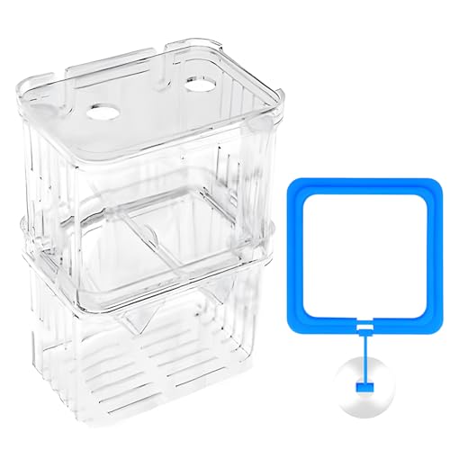 arrderly Aquarium Zuchtbox - Transparenter Kunststoff Züchter & Isolationstank für Guppy, Tropische Arten, Schwimmender Inkubator mit Saugnäpfen, Tankteiler von arrderly