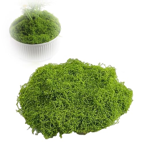 arrderly 60g Kunstmoos für kreative Dekoration - Wiederverwendbare Moosblätter ideal für Wandgestaltung, Aquarien & Modellbau von arrderly