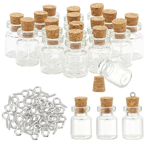 arricraft Wunschflaschen Sets Aus Glas Einschließlich 20 Stück Einmachglasflaschen Aus Klarem Glas 40 Stück Ösenstifte Mit Eisenschraube Winzige Glasgefäße Mit Stopfen Und Kleine Nachrichtenflaschen von arricraft