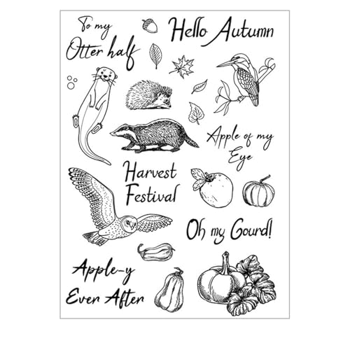 arriettycraft Harvest Festival Autumn Clear Stamps for Card Making or Journaling,Pumpkin Igel Owl Leaves Silicone Rubber Stamps for Scrapbooking journals Paper Crafts Decoration von arriettycraft