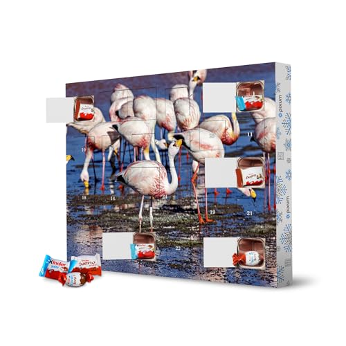 Adventskalender XXL mit Produkten von Kinder® Die Anden Flamingos artboxONE Adventskalender Natur von artboxONE