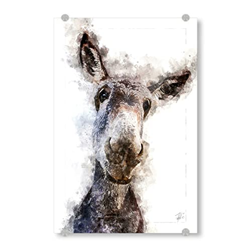 artboxONE Acrylglasbild 30x20 cm Natur Grauer Esel Bild hinter Acrylglas - Bild Tier Animal Europa von artboxONE