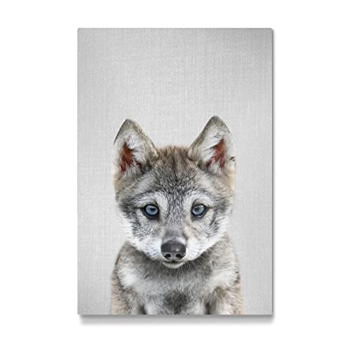 artboxONE Galerie-Print 60x40 cm Baby-Wolf - bunt hochwertiges Acrylglas auf Alu-Dibond Bild - Wandbild von Gal Design von artboxONE