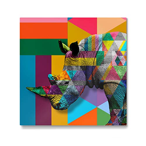 artboxONE Galerie-Print 60x60 cm Bunt Nashorn hochwertiges Acrylglas auf Alu-Dibond Bild - Wandbild von Helo Moraes von artboxONE