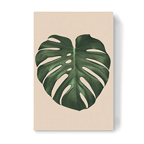 artboxONE Leinwand 30x20 cm Natur Monstera in pink von WArtDesign von artboxONE