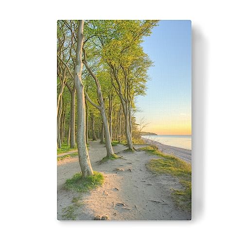 artboxONE Leinwand 60x40 cm Natur Küstenwald bei Warnemünde von Michael Valjak artboxONE Leinwand 60x40 cm Natur Küstenwald bei Warnemünde von Michael Valjak von artboxONE