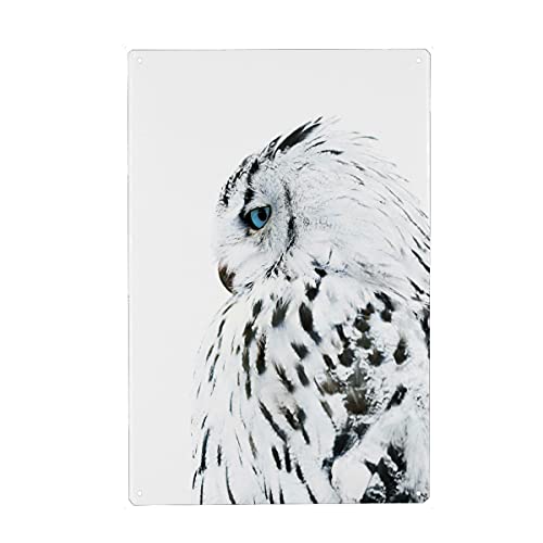 artboxONE Metall-Poster 40x60 cm Natur White Owl von Künstler WArtDesign von artboxONE