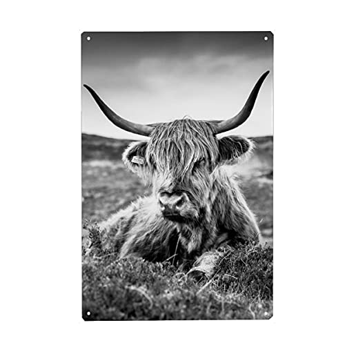 artboxONE Metall-Poster 40x60 cm Tiere Highland Cow B/W von Künstler WArtDesign von artboxONE