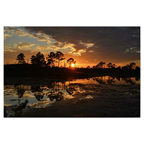 artboxONE Poster 120x80 cm Natur Everglades, Florida (USA) - Bild Everglades Everglades Florida von artboxONE