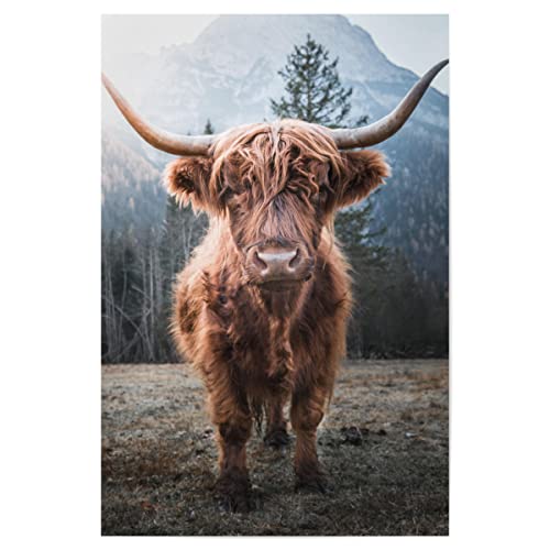 artboxONE Poster 120x80 cm Natur Highland Cow in Nature hochwertiger Design Kunstdruck - Bild Highland Berge Cow von artboxONE