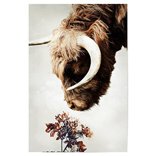 artboxONE Poster 120x80 cm Natur Hochlandkuh hochwertiger Design Kunstdruck - Bild hochlandkuh Highlander hochlandkuh von artboxONE
