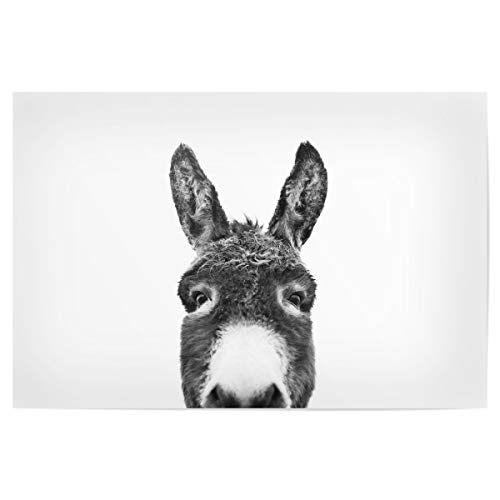artboxONE Poster 150x100 cm Tiere Peeking Donkey hochwertiger Design Kunstdruck - Bild Donkey Black and White Donkey von artboxONE