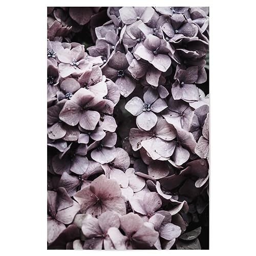 artboxONE Poster 30x20 cm Blumen & Blüten Floral Pink Hydrangea - Bild Hortensie botanisch Hortensie von artboxONE