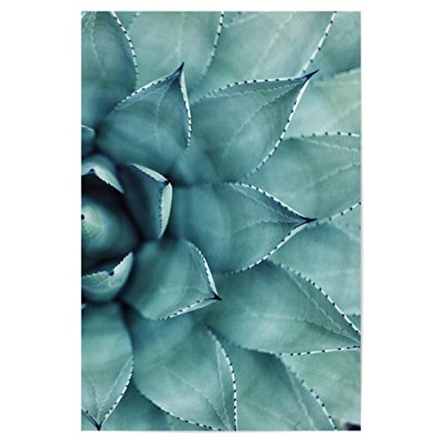 artboxONE Poster 30x20 cm Floral Succulent - Right - Bild sukkulente Kaktus nahaufnahme von artboxONE
